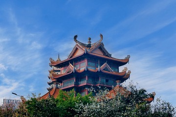 818BDFC3-D508-453C-9EF2-F2216579B654/L0/001