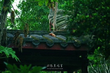 6D945FFE-9A7F-43BB-9E75-CD48B1290FEF/L0/001