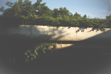 2913123F-34E3-4C64-BD9F-D03E481831E0/L0/001