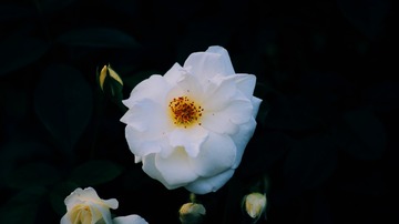 79F441E9-ACB3-49A0-8902-F95C8C2192CF/L0/001