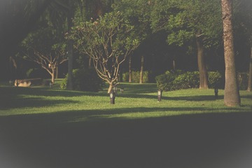 C4B55481-439F-419E-9104-F8EB7A0BD5E2/L0/001