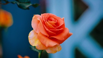 8A75E58E-4BAA-44B8-96BC-833F140436E0/L0/001