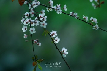 E3173E72-55B0-4E27-B6F3-3511EDE9C61C/L0/001