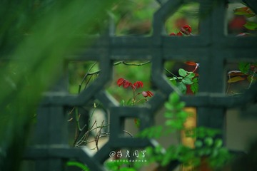 1AB0D3AA-2BF3-4921-87B9-FBCE616B843A/L0/001