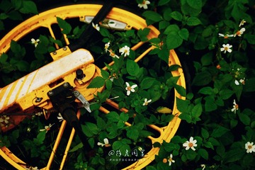 5D9F2E20-511C-4C84-A5A3-35480DF6090A/L0/001