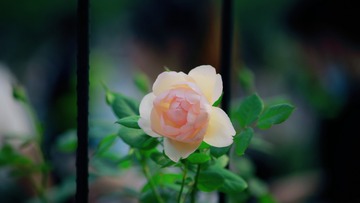 0BCFD520-18FD-49CF-AE50-834001B6DA47/L0/001