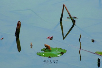 49F2C53F-8932-4BC9-A289-5A677FF45FD1/L0/001
