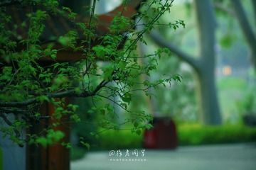 D4B97E2F-C759-43BC-8D5A-BE52A1809BA0/L0/001