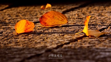239CF56E-1659-4FA2-98CC-5A560994B234/L0/001