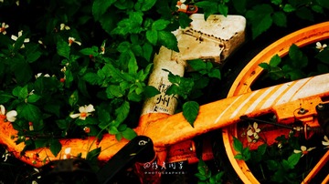 5A934708-D55C-45C3-A4BA-13E0EE1DE3EB/L0/001