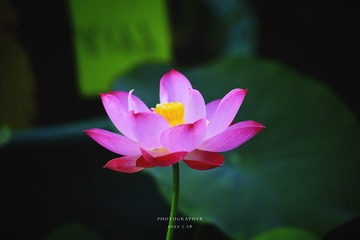 A7F3D595-F2C5-4CE5-8E86-991BD8F595E3/L0/001