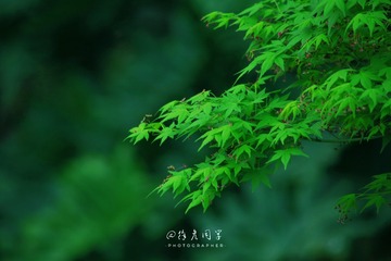 F8FA646C-4E07-4A1C-AD1D-72E412DBDA44/L0/001