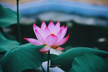 0395EE13-6E43-4F76-A400-ADF072F63833/L0/001