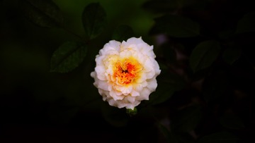 90C8768D-4995-4E97-B47B-C7D3F131EE0E/L0/001