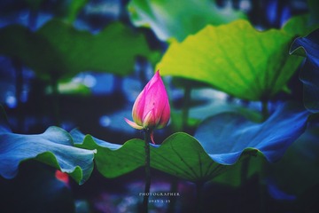 850725BE-A8A9-4AEB-87BD-2CA24192E80F/L0/001