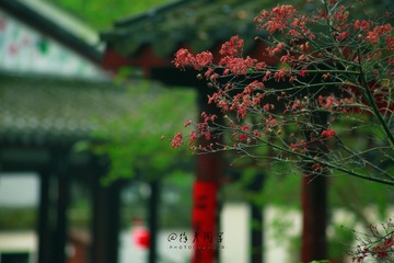74E77659-E973-4675-A86F-77006B0227A3/L0/001