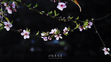 7E570432-400C-4D4B-BC6A-364DBDB4F0B0/L0/001