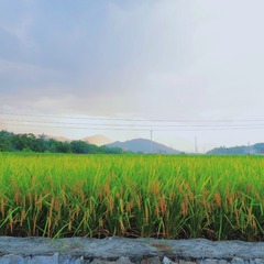 28EE7543-24AC-4F68-B0D9-9E9600C41989/L0/001