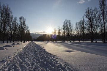 856301