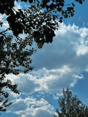 34A97826-FECB-4A4C-9BC8-F622FD9AA7DE/L0/001