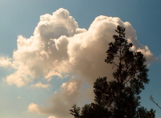 D0F284CD-EA8F-41AB-9FE2-17ED580B18CC/L0/001