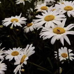 711047DD-CD29-4C1C-860A-F72021EFFA74/L0/001