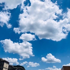 43C340FF-276E-43C4-8A3B-93F9CC790526/L0/001