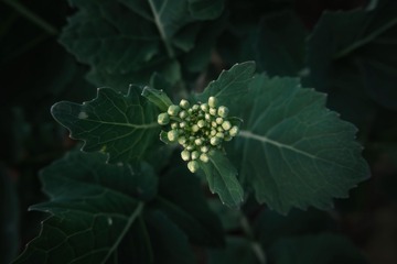 568A2C68-2B96-4DD5-B966-8AE35B279465/L0/001