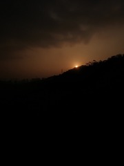 2907410
