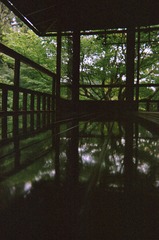 27DB40FF-76DB-4806-9CDB-62D041C73249/L0/001