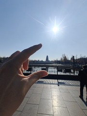 1000050243