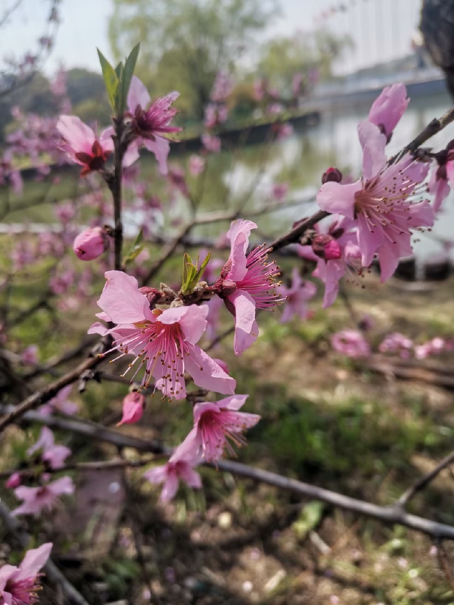 风和日丽阳光明媚