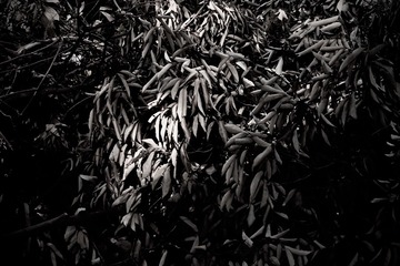 D9F4C610-856F-4DCF-B8A2-5B72979B6A7D/L0/001