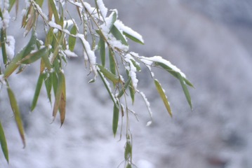 0C3B3DF0-25A6-4A4D-9817-9E58D9D2948F/L0/001