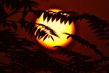 B0DDC170-611C-4B20-A601-F53DD6F2DB6D/L0/001