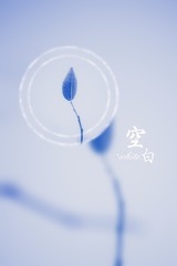 180035