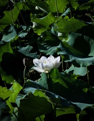 001