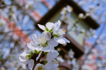 A35B682F-2578-4292-A89D-CE14809540E6/L0/001