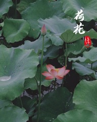 33ABA21B-0E52-4651-9EF0-2B9192933FF1/L0/001