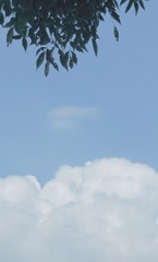 394550