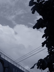 392628