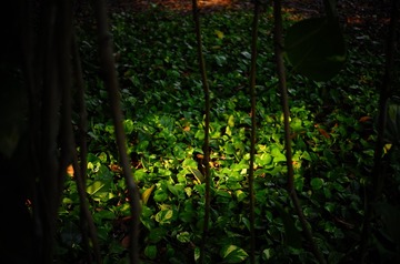 C835B2B8-158F-447C-BA36-B781DA9B3935/L0/001