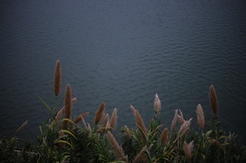 6D9B8CC2-3D68-4FF7-976C-FA0052BF18F3/L0/001