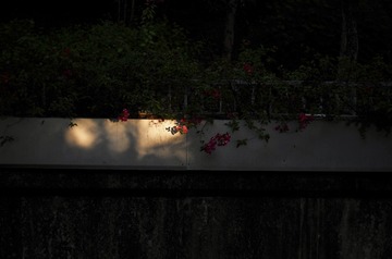 6F5D7E36-AA66-41E3-B3EE-B716C0AD8B29/L0/001