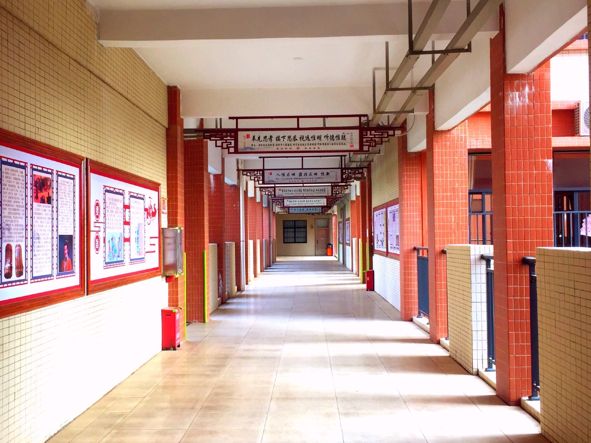 广东惠州尚书实验学校随手拍