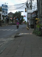 A02C314E-63F0-44BA-8307-8B79B03B581E/L0/001