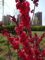 07E3E834-F93D-402C-A5D3-4339CCFB9B00/L0/001
