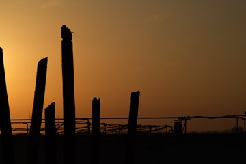DBB32C01-C34B-460D-9F57-7C4786A1545E/L0/001