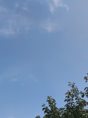1000207042
