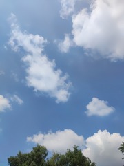 1000208005